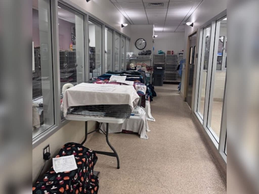 A hallway with glass partitions showing cat cages on the left side. Several tables covered with white cloths are set up along the right, with items placed on them. A clock is mounted on the wall, and the room is well-lit.