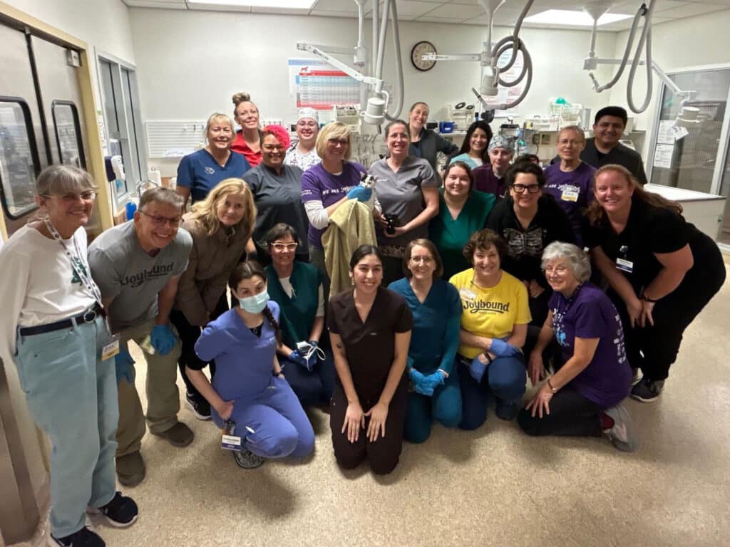 A group of 20 individuals posed for a photo in a veterinary clinic, wearing scrubs and casual clothing. Some are smiling, while others embrace. The clinic is equipped with medical tools, highlighting a collaborative atmosphere.