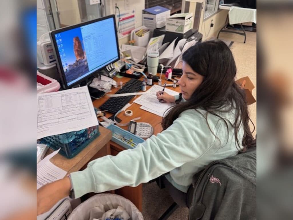 A young woman with long dark hair seated at a desk in an office. She is writing on a notepad, with papers and a calculator scattered on the desk. A computer monitor displays an image of a lion. A wastebasket is visible nearby.