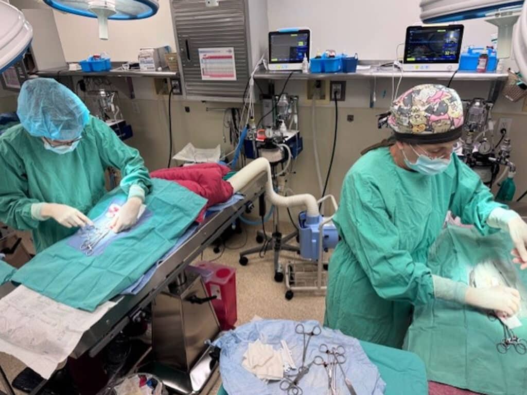 Two veterinary professionals in surgical scrubs performing a procedure in an operating room. The room features surgical instruments on a table and monitors in the background. A focus on teamwork in animal care is evident.