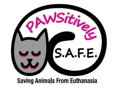 A logo for P.A.W.S.itively S.A.F.E. featuring a stylized gray cat with closed eyes and a pink outline. The text "P.A.W.S.itively S.A.F.E." is in playful pink letters above, and "Saving Animals From Euthanasia" is written in black below.