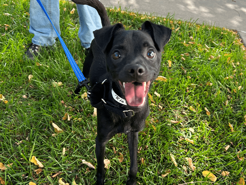 From a Scroll to a Second Chance