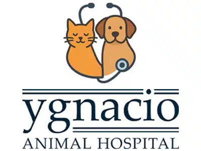 A logo for Ygnacio Animal Hospital featuring a stylized orange cat and a brown dog, both resting beside a stethoscope. The text 'ygnacio' is in a modern font above 'ANIMAL HOSPITAL' in a serif font.