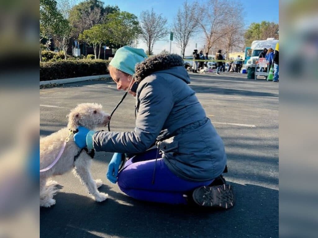 A woman wearing a blue beanie and a gray jacket kneeling down to interact with a small white dog on a leash. In the background, several people are visible in a parking lot, likely participating in a community event.