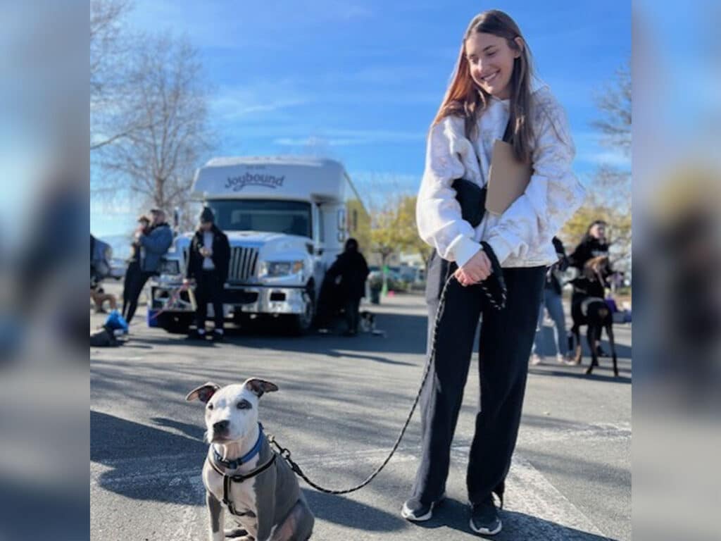 A woman standing on a pavement, holding a clipboard, next to a grey dog on a leash. In the background, a food distribution vehicle is parked with people gathered. The scene is set under a clear blue sky.