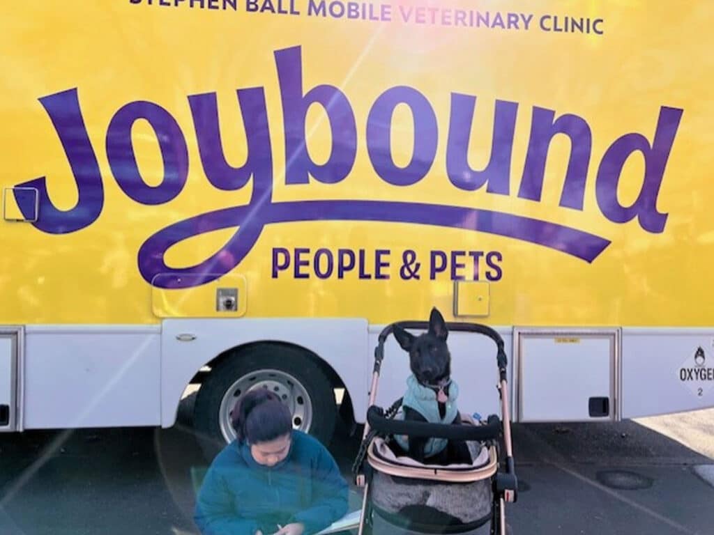 A person seated on the ground, wearing a blue jacket, appears engaged in an activity. Nearby, a black dog sits in a pet stroller beside a large yellow mobile veterinary clinic truck displaying the name "Joybound People & Pets."