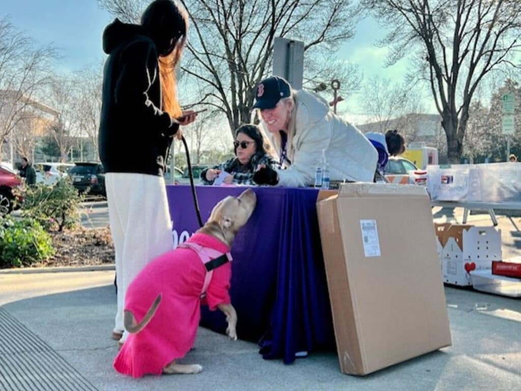 A woman in a pink dog sweater interacts with a table setup at an outdoor event, where two people are sitting. One person is wearing a baseball cap and engaging with a visitor, while the scene has trees in the background.