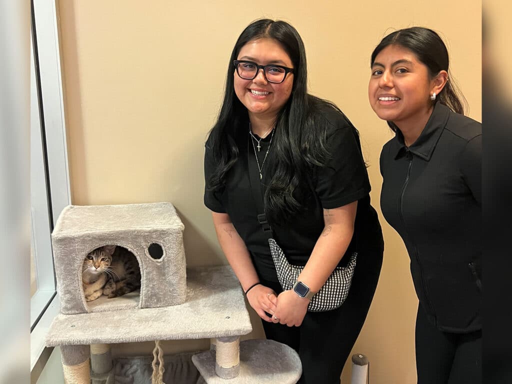 Two young women pose beside a gray cat tree in a brightly lit room. One woman wears glasses and a black shirt, while the other has her hair tied back and is wearing a dark top. A tabby cat is visible inside the tree's opening.