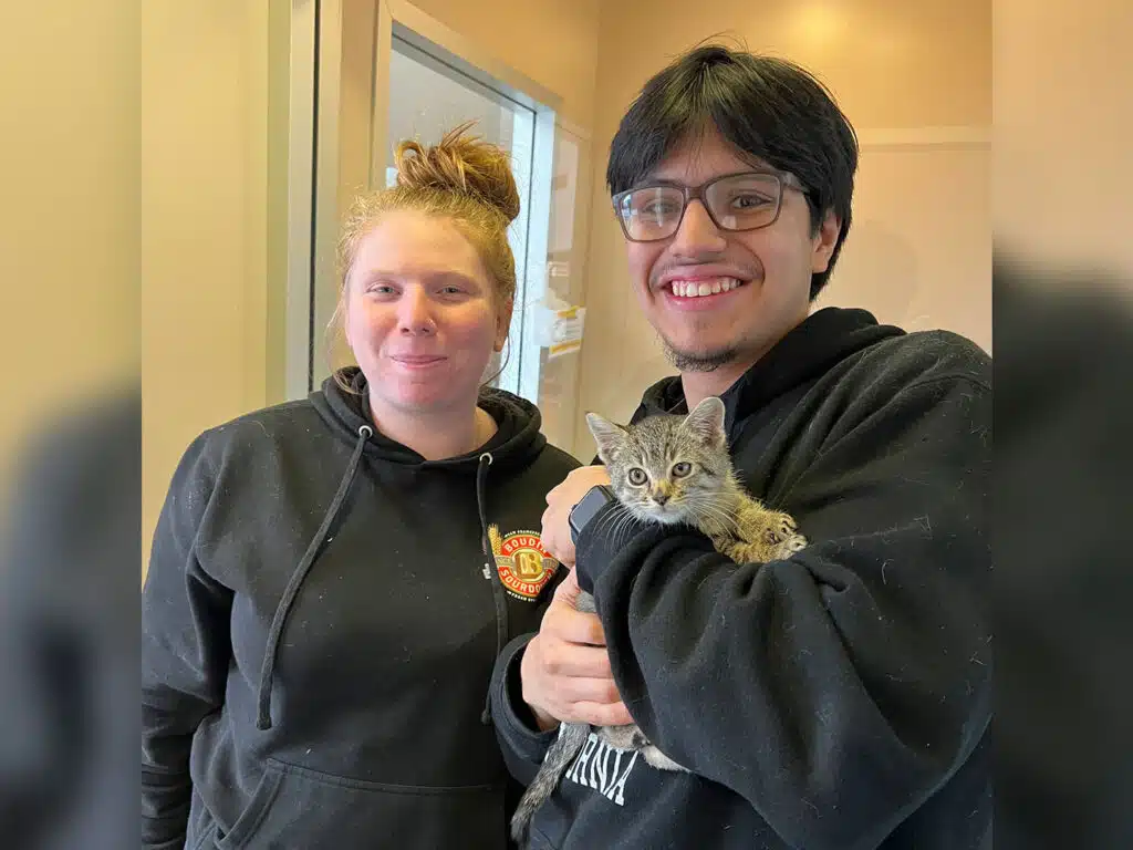 A woman with red hair and a man wearing glasses stand together in a room. The man is holding a small gray-and-brown striped kitten. They both smile at the camera, conveying a sense of happiness.