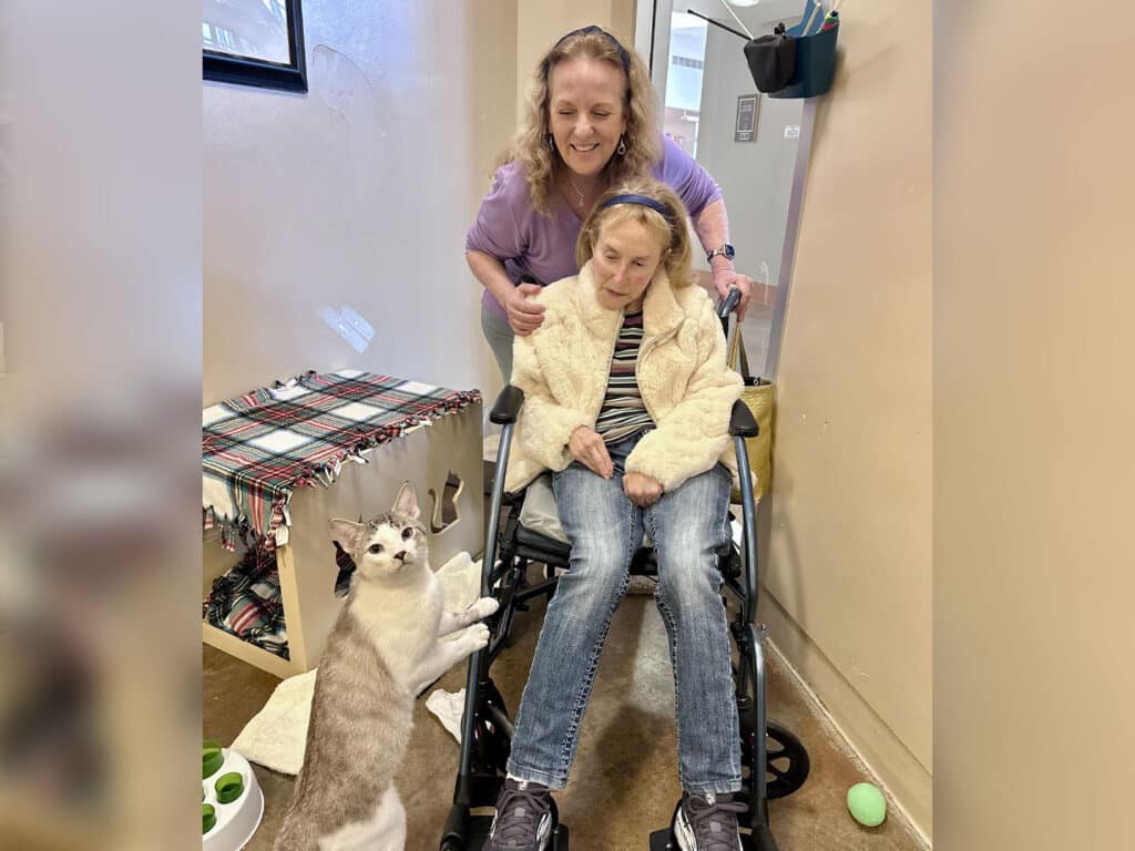 A woman assisting a person in a wheelchair, who is wearing a cozy jacket and appears focused. A cat stands beside them, looking towards the camera. The setting is indoors with a covered table in the background, suggesting a welcoming environment.