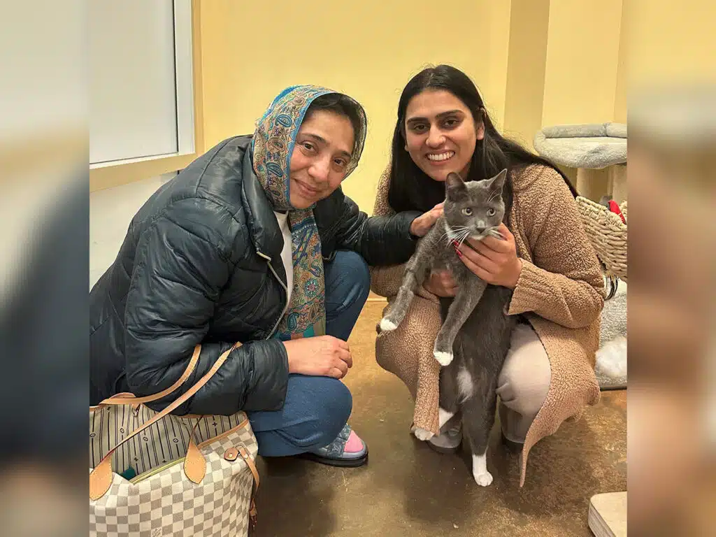A woman wearing a gray shawl and a dark jacket sits next to a woman in a beige sweater holding a gray cat. They are indoors with a light-colored wall and a cat tree visible in the background, smiling at the camera.