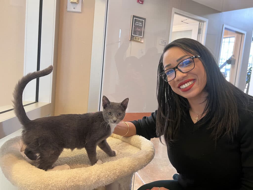 A woman with long dark hair and glasses smiles while sitting beside a gray kitten on a fluffy perch in a bright room. The kitten stands on the perch, looking towards the woman, creating a friendly interaction.