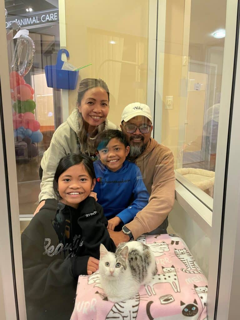 A family of four, including a woman, two children, and a man, sitting inside a clear animal enclosure with a kitten on a blanket. The background shows a clean, brightly lit animal care facility, highlighting upcoming pet adoptions.
