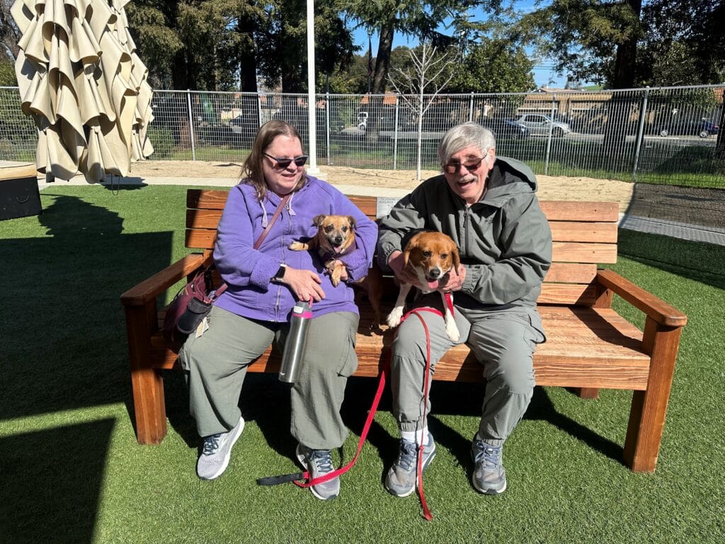 A woman in a purple hoodie and a man in a green jacket sit on a wooden bench in a sunny park, both holding small dogs. The setting features green grass and trees, highlighting a moment of companionship, related to Pet Adoptions.