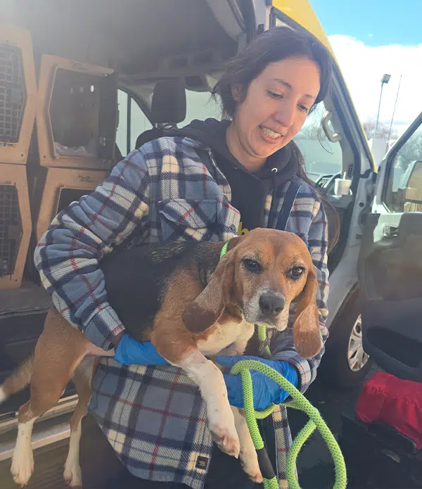 A woman wearing a plaid jacket holds a beagle, which has a brown and black coat, as she stands next to a van. The beagle is on a leash, and the background shows the open door of the van and sunny blue sky.