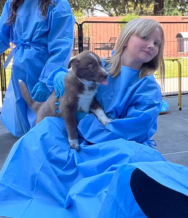 A child in a blue medical gown holding a small brown puppy. The child has short blond hair and is smiling while standing next to another individual in a similar gown. The background shows a fenced area outside with a sunny atmosphere.