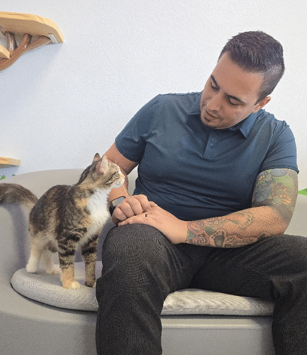 A man with tattoos sitting on a couch, looking at a small tabby cat that is approaching him. The setting appears cozy, possibly in a cat lounge area within the Joybound thrift store.