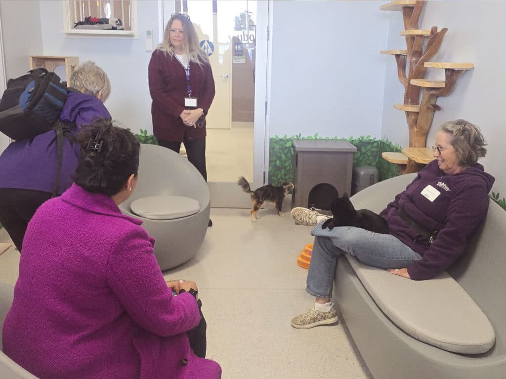 A small group of people in a cozy room with modern furniture. Two women sit on curved chairs, one with a cat on her lap, and the other observes a small dog nearby. Another woman stands in the background, engaging with the group's activities.