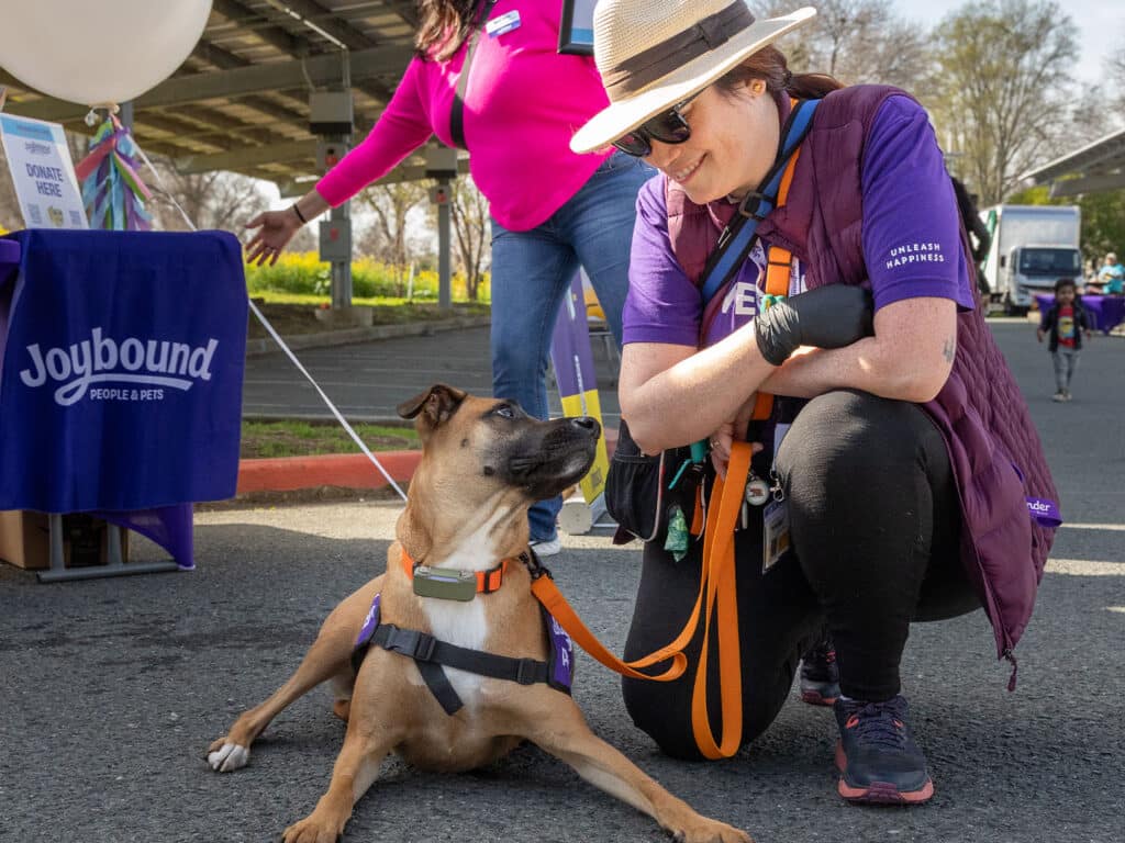 A woman in a purple shirt crouches beside a dog wearing an orange harness at an outdoor event. Another person in the background wears pink, and a Joybound banner is visible. The setting includes trees and a sunlit area.