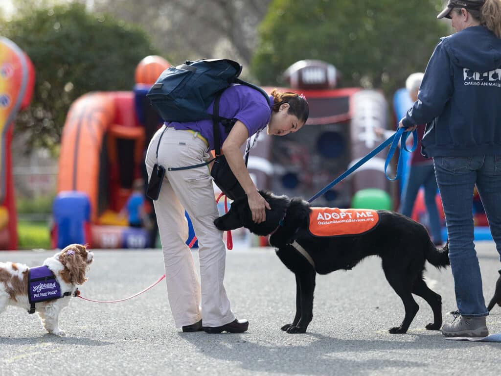 A woman kneels to pet a black dog wearing an 'ADOPT ME' harness at an outdoor event. A small dog on a leash beside her wears a purple vest. Colorful inflatable attractions are visible in the background.