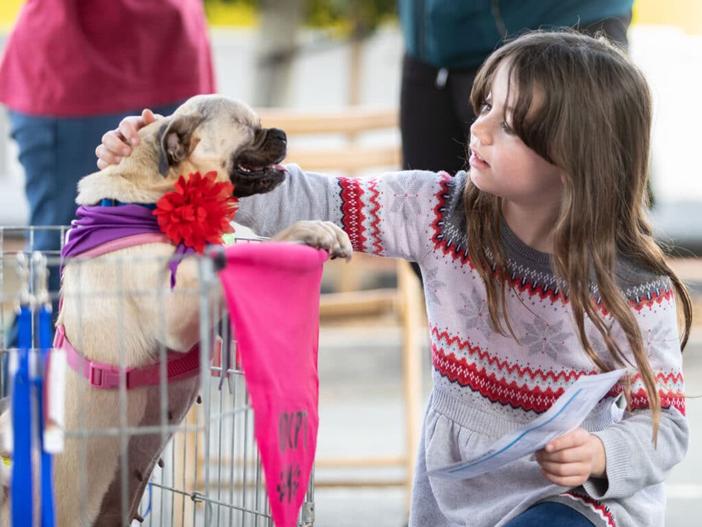 A young girl with brown hair gently petting a pug wearing a colorful scarf with a flower. The scene takes place outdoors, with wooden chairs and blurred figures in the background, creating a lively event atmosphere.