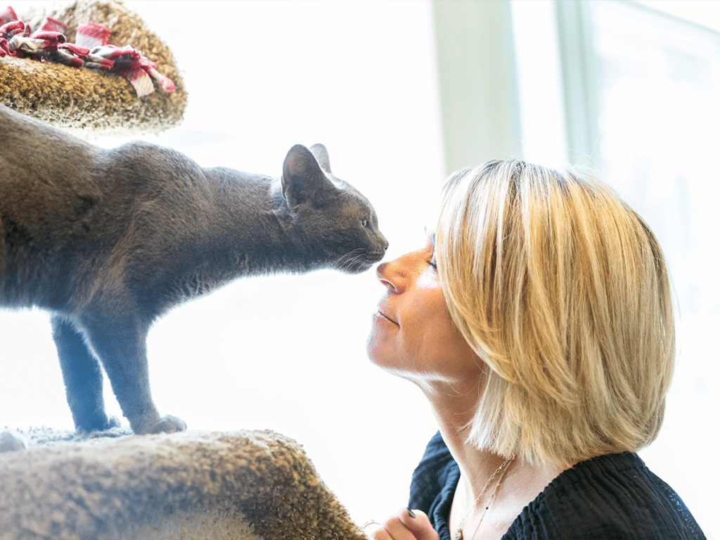 A woman with blonde hair and a black top is playfully touching noses with a gray cat on a scratching post. Bright light from a window creates a warm atmosphere, emphasizing the interaction between the woman and the cat at Joybound in Walnut Creek.