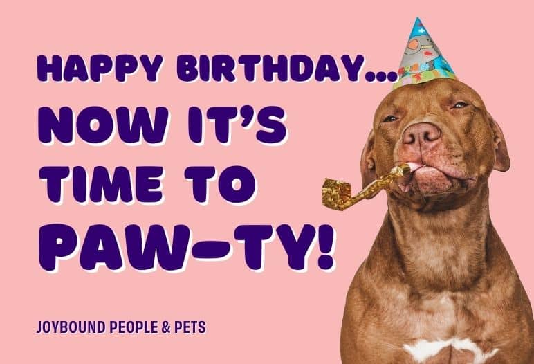 A brown dog wearing a colorful party hat, holding a noisemaker in its mouth, against a pink background. The text reads "HAPPY BIRTHDAY... NOW IT'S TIME TO PAW-TY!" followed by the logo "JOYBOUND PEOPLE & PETS."