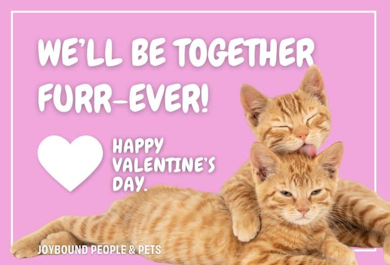Two orange tabby kittens cuddling on a pink background. Text reads: "WE'LL BE TOGETHER FURR-EVER! HAPPY VALENTINE'S DAY." A heart shape is also included. The image is designed for a Valentine's Day greeting card.