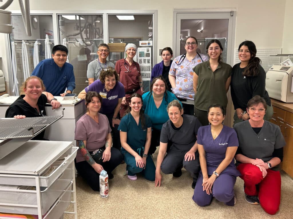 A group of 15 veterinary staff members posing for a photo in a veterinary clinic. They are wearing scrubs in various colors and smiling, showcasing a collaborative environment.