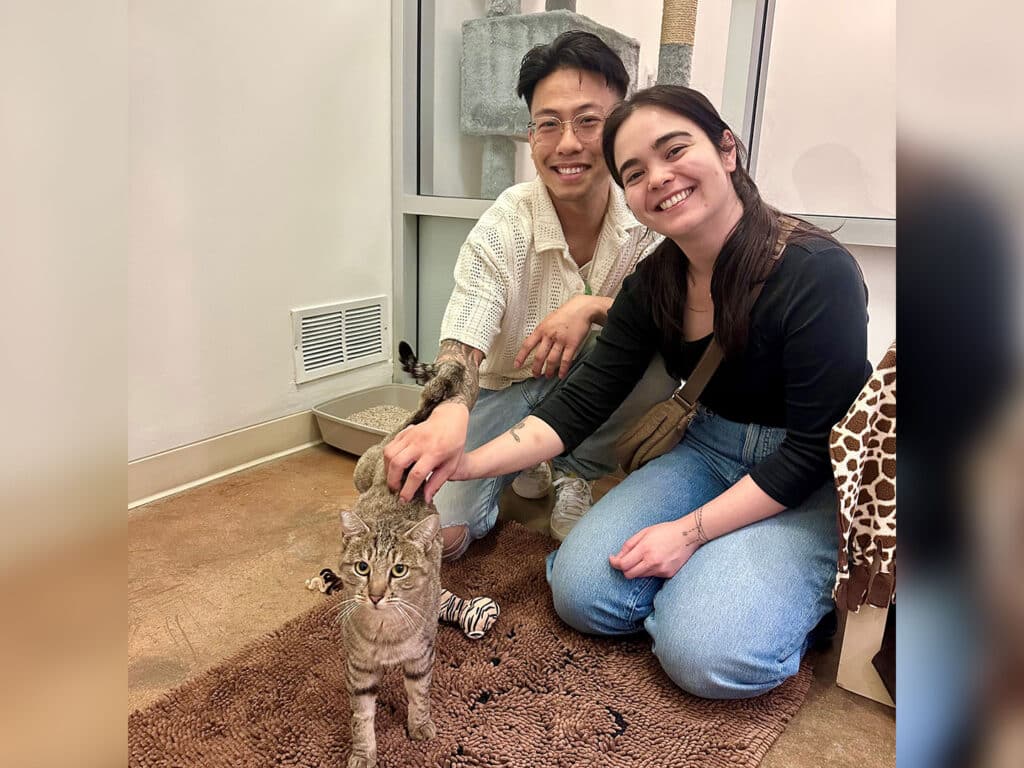 A man and a woman are seated on the floor in a cozy indoor space, posing with a gray tabby cat. The man, wearing a white shirt and glasses, smiles while the woman, in a black top and blue jeans, gently pets the cat. Both appear relaxed and happy.