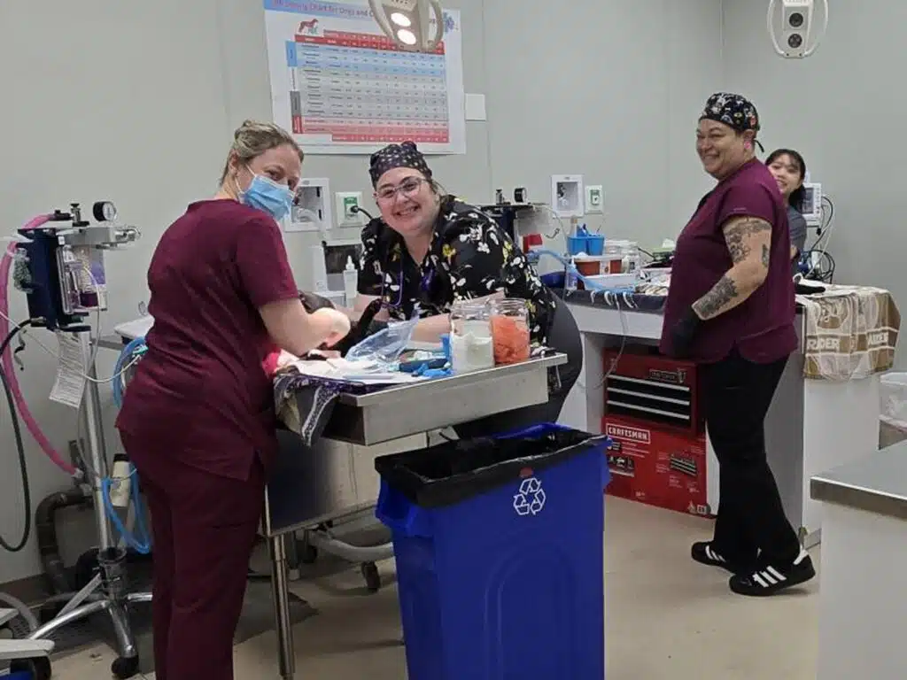 Three women in scrubs working in a veterinary clinic. One woman is smiling and preparing equipment at a table, another is organizing supplies, and the third is seen standing in the background. Medical tools and a recycling bin are visible in the space.