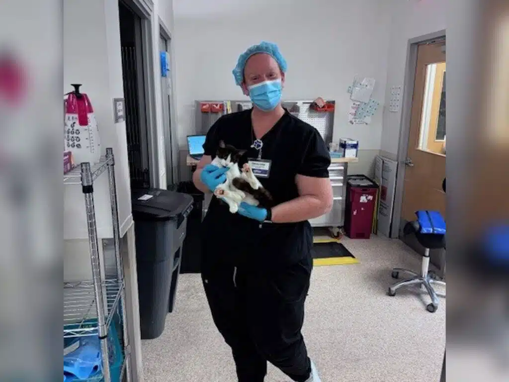 A veterinary professional wearing scrubs, a mask, and a hairnet holds a black and white cat in their arms. In the background, various veterinary equipment and a trash bin are visible in a clinical environment.
