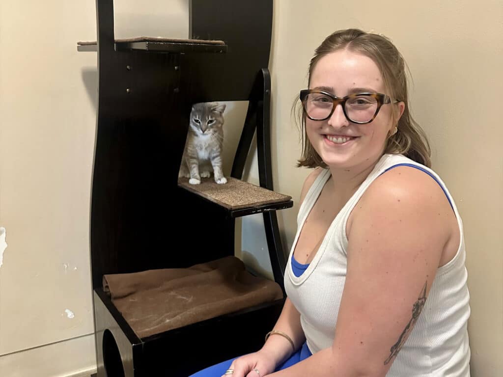 A woman with glasses smiles while sitting next to a black wooden cat tree. A gray tabby kitten is visible on the second tier. The setting has beige walls, creating a calm atmosphere for pet adoption.