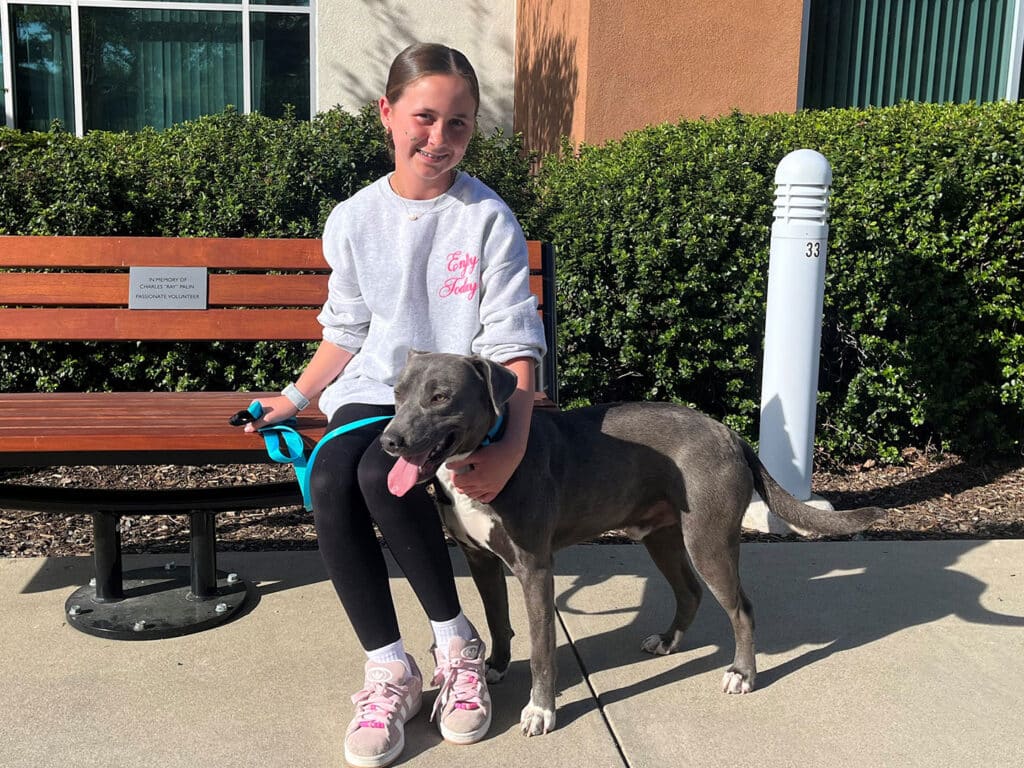 A young girl in a gray sweatshirt and black leggings sits on a bench beside a light gray dog. She holds the dog’s leash, with the dog facing forward, tongue out. The background features a building and green bushes, indicating an outdoor setting.