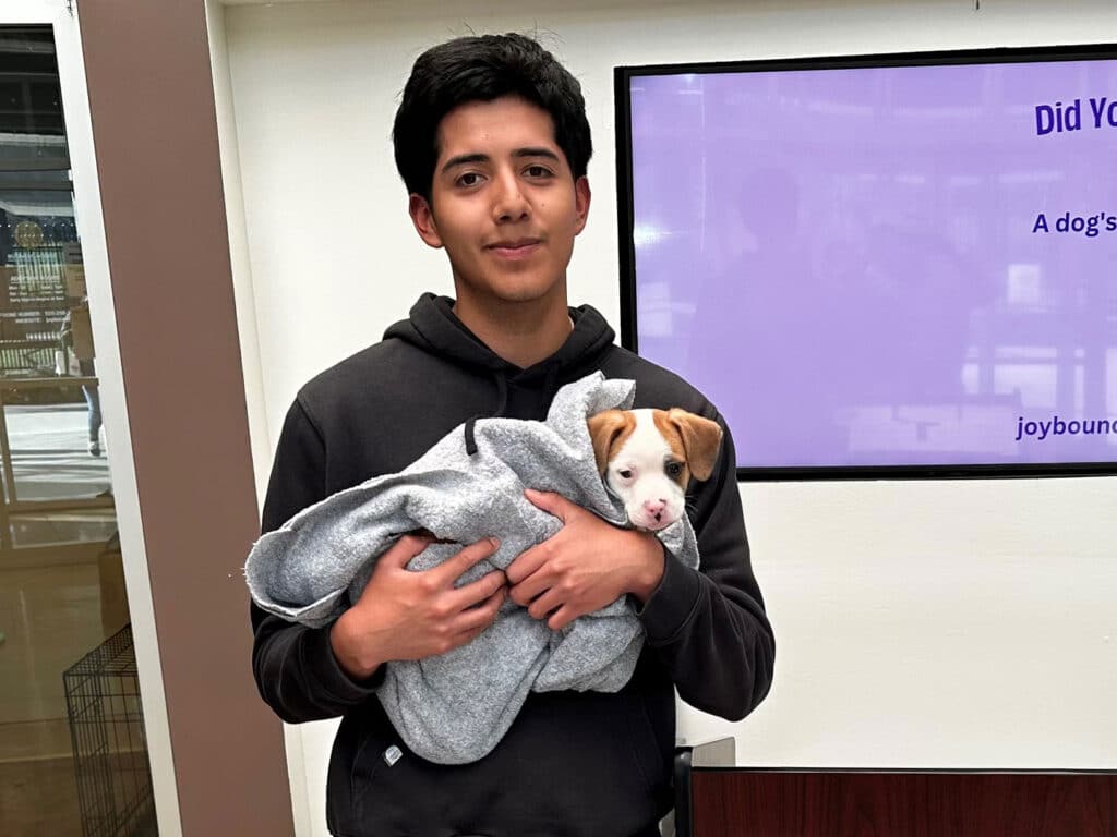 A young man wearing a dark hoodie stands holding a small dog wrapped in a gray blanket. The dog has a tan and white coat. A large screen in the background displays informational text about dog adoption.