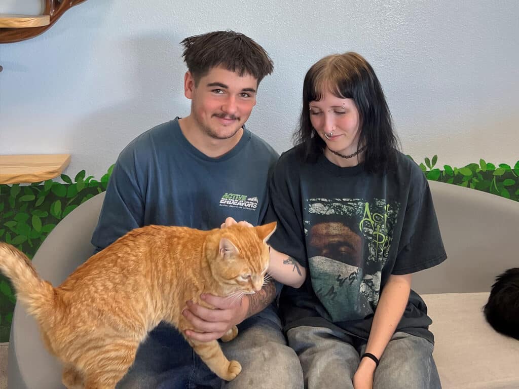 A young man and woman sitting on a couch in a cozy setting, both smiling. The man is holding an orange tabby cat in his lap, while the woman gently pets the cat. A black cat is visible in the background, and there are green plants along the wall.