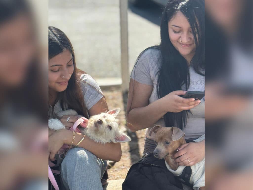 Two women sitting outside, one holding a small dog in her arms while the other sits next to her, looking at her phone with a small puppy beside her. Both women are wearing casual clothing and appear to be relaxed.