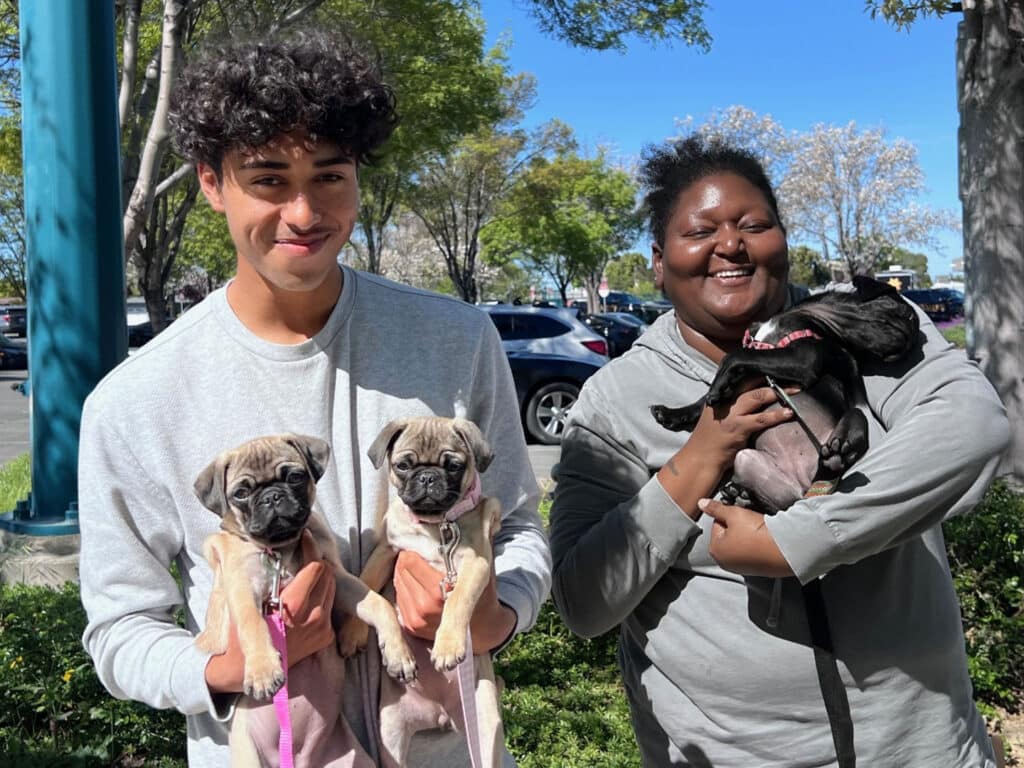 A young man and a woman stand outdoors, each holding a small pug dog. The man holds two pugs, while the woman holds one black pug. They are smiling, with trees and parked cars visible in the background under a clear blue sky.