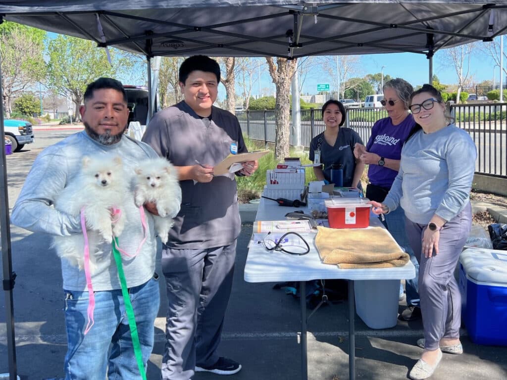 A group of people at a vaccination clinic, some holding white fluffy dogs. There are four individuals behind a table with medical supplies and a blanket. The setting is outdoors, with trees and a parking lot visible in the background.