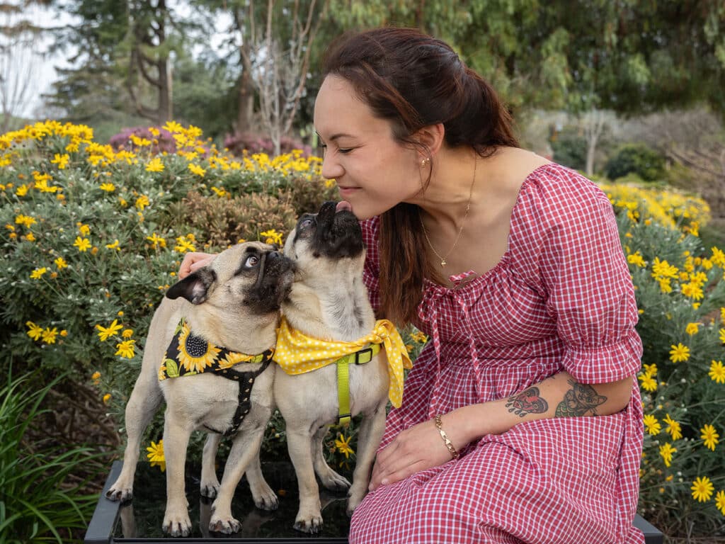 A woman wearing a pink checkered dress sits among yellow flowers, leaning towards two small pugs. One pug wears a sunflower harness, and the other a yellow bandana. They are facing each other, creating a playful interaction.