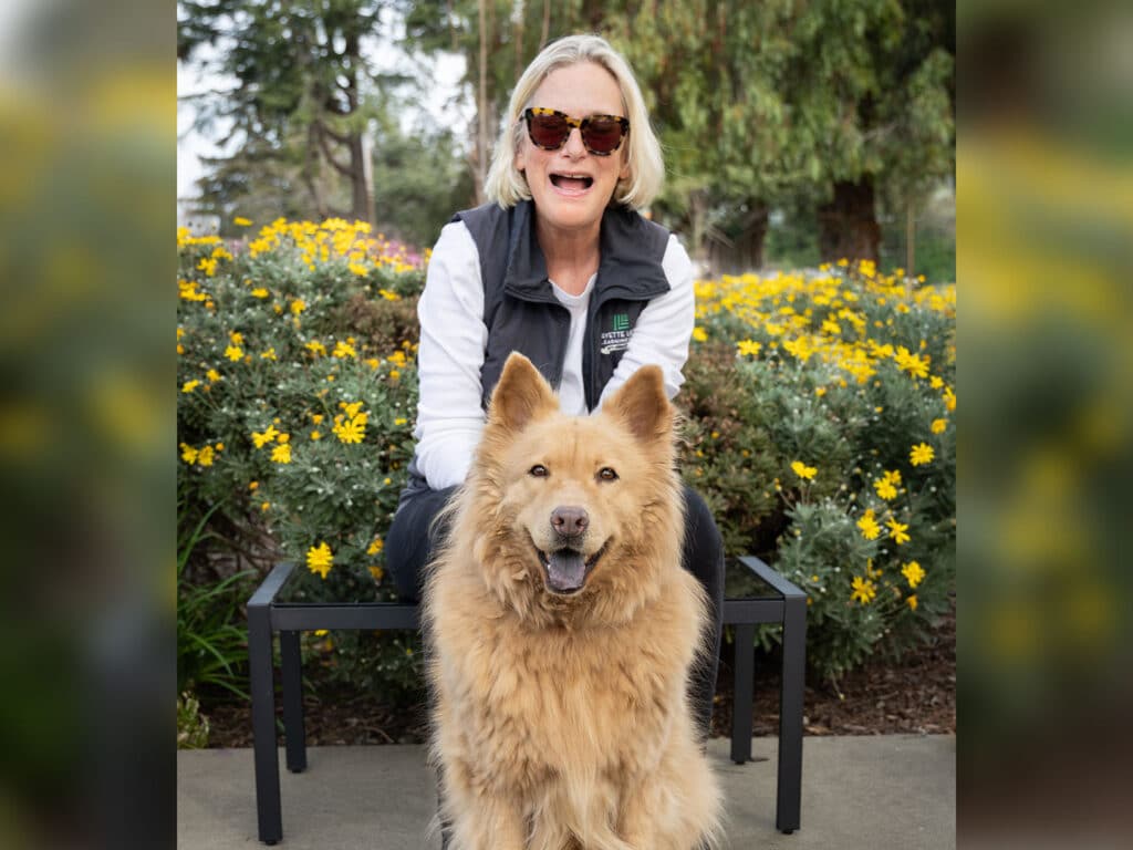A woman wearing sunglasses sits on a black bench, smiling while holding a golden-brown dog in front of her. The background features vibrant yellow flowers and greenery, suggesting a spring setting.