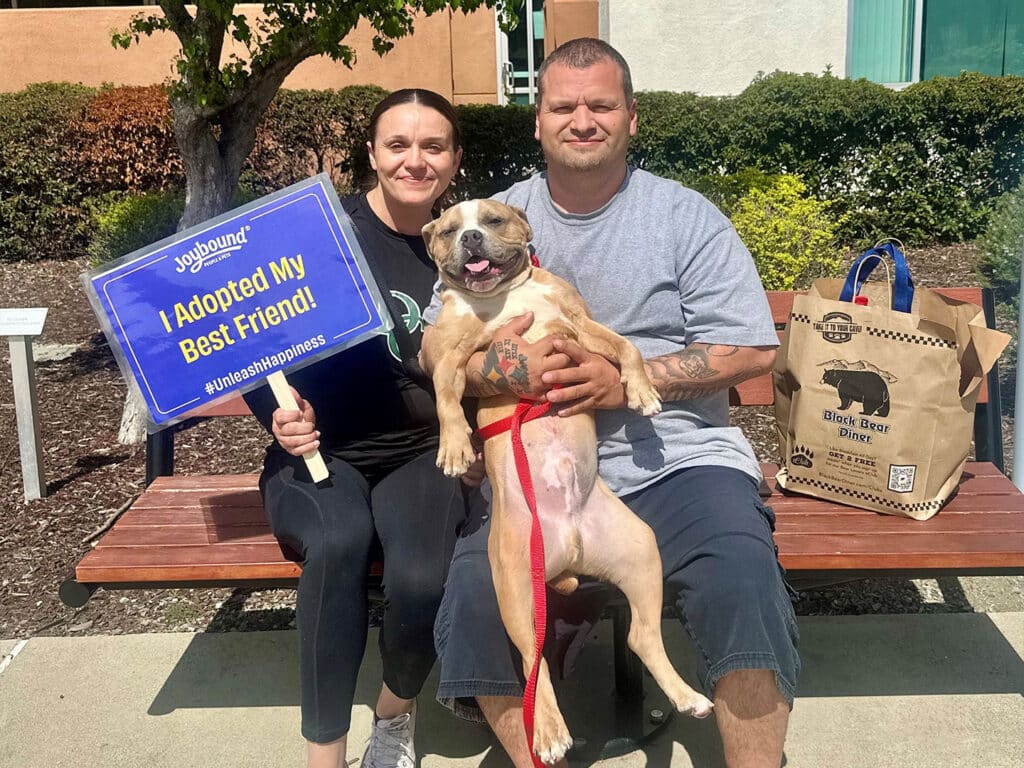 A woman and a man sitting on a bench outdoors, smiling. The woman holds a sign that reads, "I Adopted My Best Friend!" A dog, held by the man, looks happy. There are bags beside them, with a background of greenery.