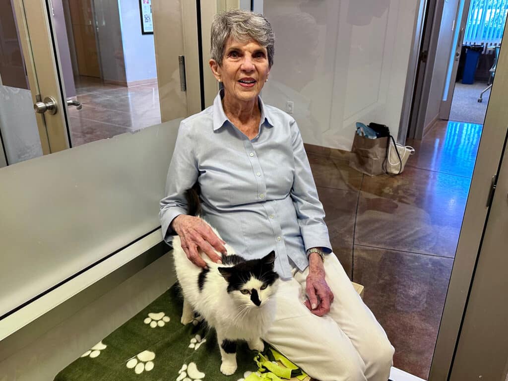 An older woman with short gray hair sits on a bench in a bright room, gently petting a black and white cat. The woman wears a light blue shirt and white pants, with a green blanket featuring paw prints beneath them.