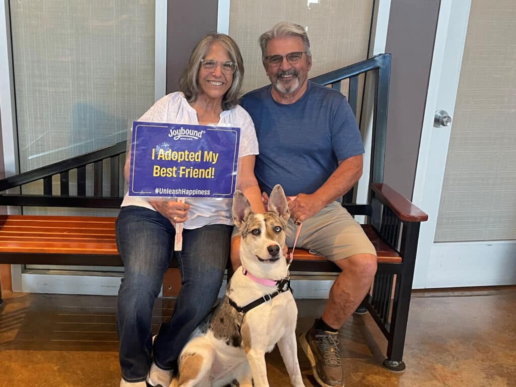 A couple sits on a bench indoors, holding a sign that says "I Adopted My Best Friend!" with a hashtag. A medium-sized dog, with a light coat and a black harness, sits in front of them, smiling at the camera.