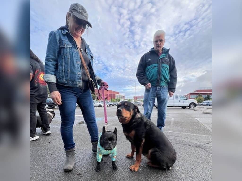 A woman in a denim jacket stands next to a small black dog wearing a green sweater. A larger Rottweiler sits nearby. In the background, a man wearing a teal jacket is looking on, with cars parked in a lot and a cloudy sky above.