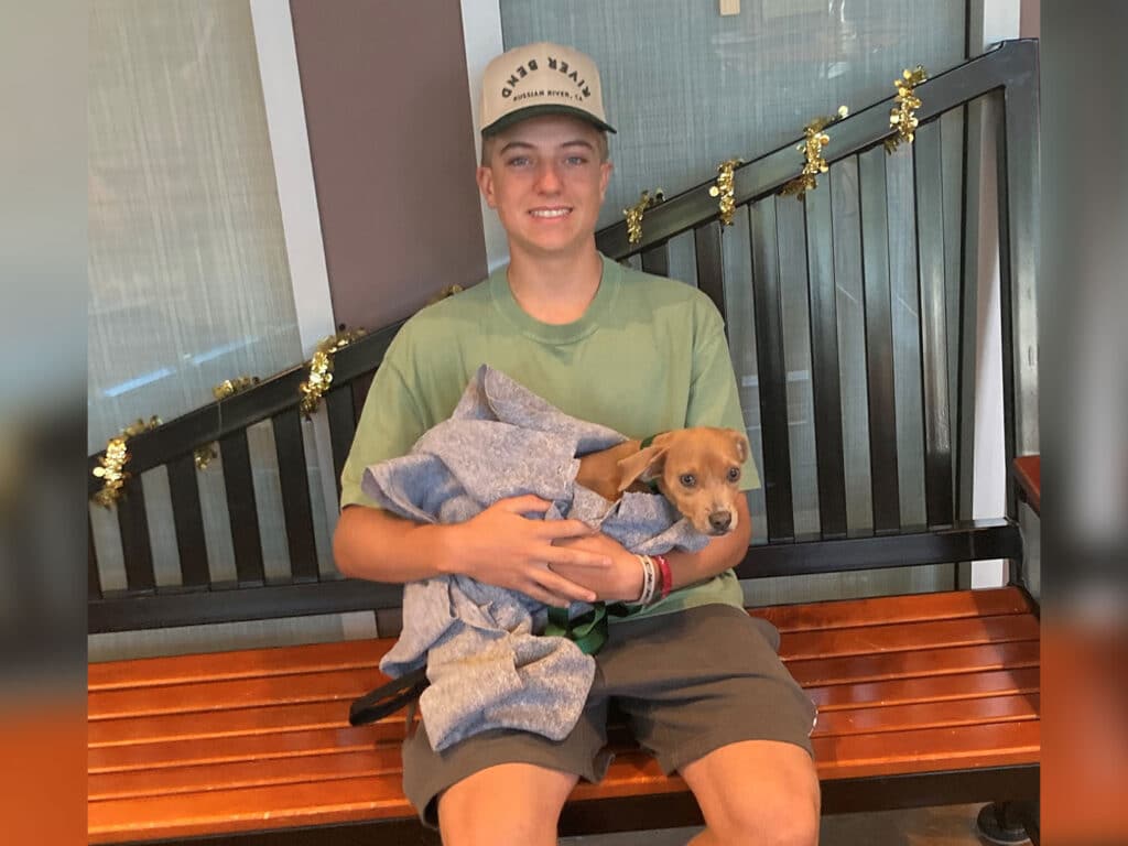 A young boy sitting on a wooden bench, holding a small dog wrapped in a blanket. He is wearing a green t-shirt, shorts, and a cap, with a decorative garland hanging in the background.