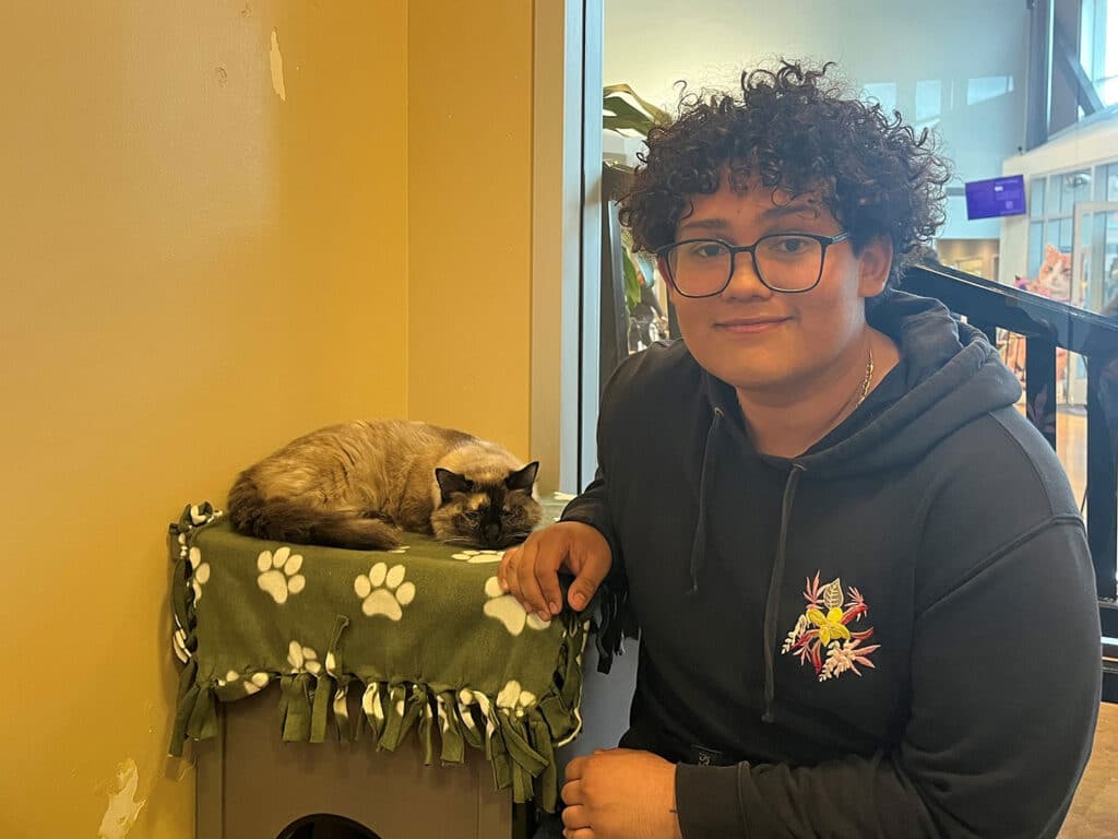 A teenager with curly hair and glasses is sitting beside a brown and cream-colored cat resting on a green blanket with paw print patterns. The backdrop features a bright animal shelter environment.