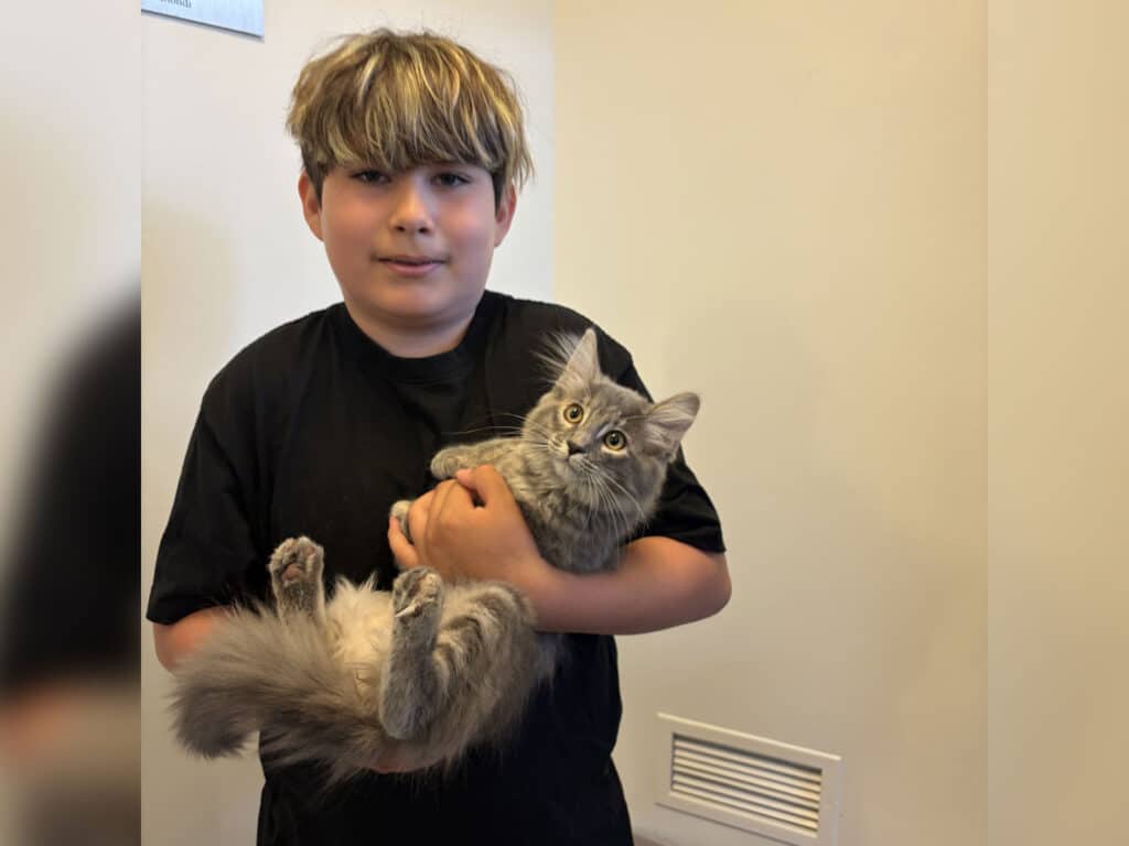 A boy holding a gray cat in a room with light-colored walls. The boy wears a black shirt and has light brown hair styled with a layered look. The cat appears relaxed in his arms, showcasing its fluffy fur.