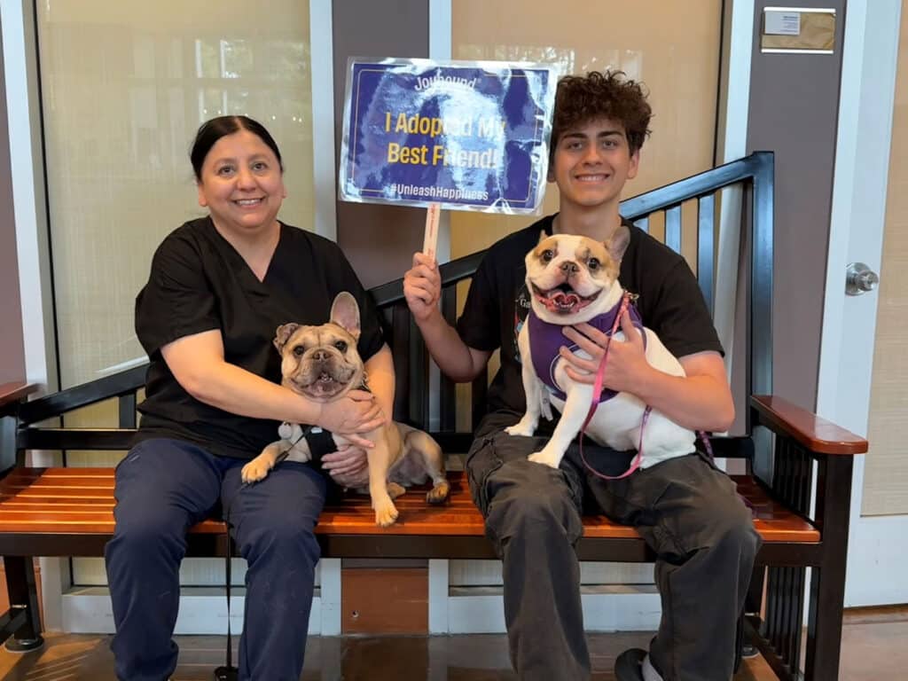 A woman and a young man sit on a wooden bench, each holding a dog. The woman has a fawn French Bulldog, and the man has a light-colored bulldog. They are smiling and holding a sign that reads, "I Adopted My Best Friend." The background shows a modern indoor setting.