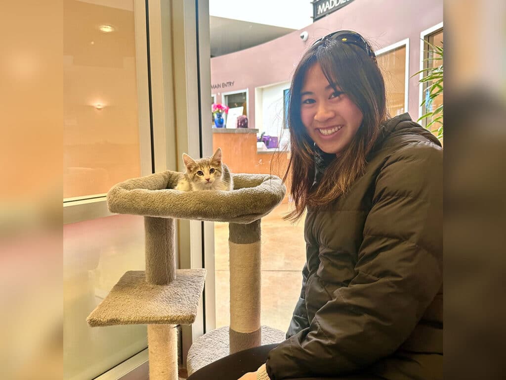 A woman with long brown hair smiles while sitting next to a cat in a cozy cat tree. The cat, a gray tabby, is lounging comfortably in the upper compartment of the tree, set in a well-lit space with plants in the background.
